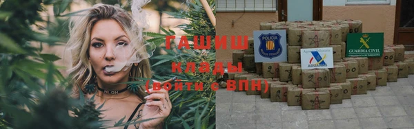 крисы Гусев