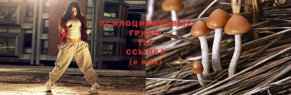 Альфа ПВП Гусь-Хрустальный