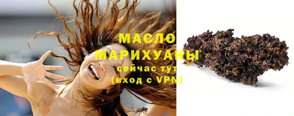 дмт Тавда