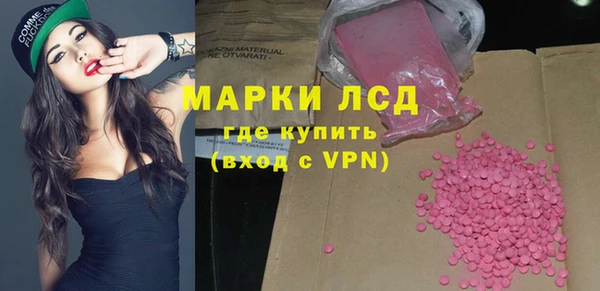 крисы Гусев