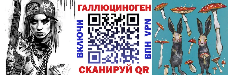 Галлюциногенные грибы Psilocybine cubensis  гидра сайт  Юрга 